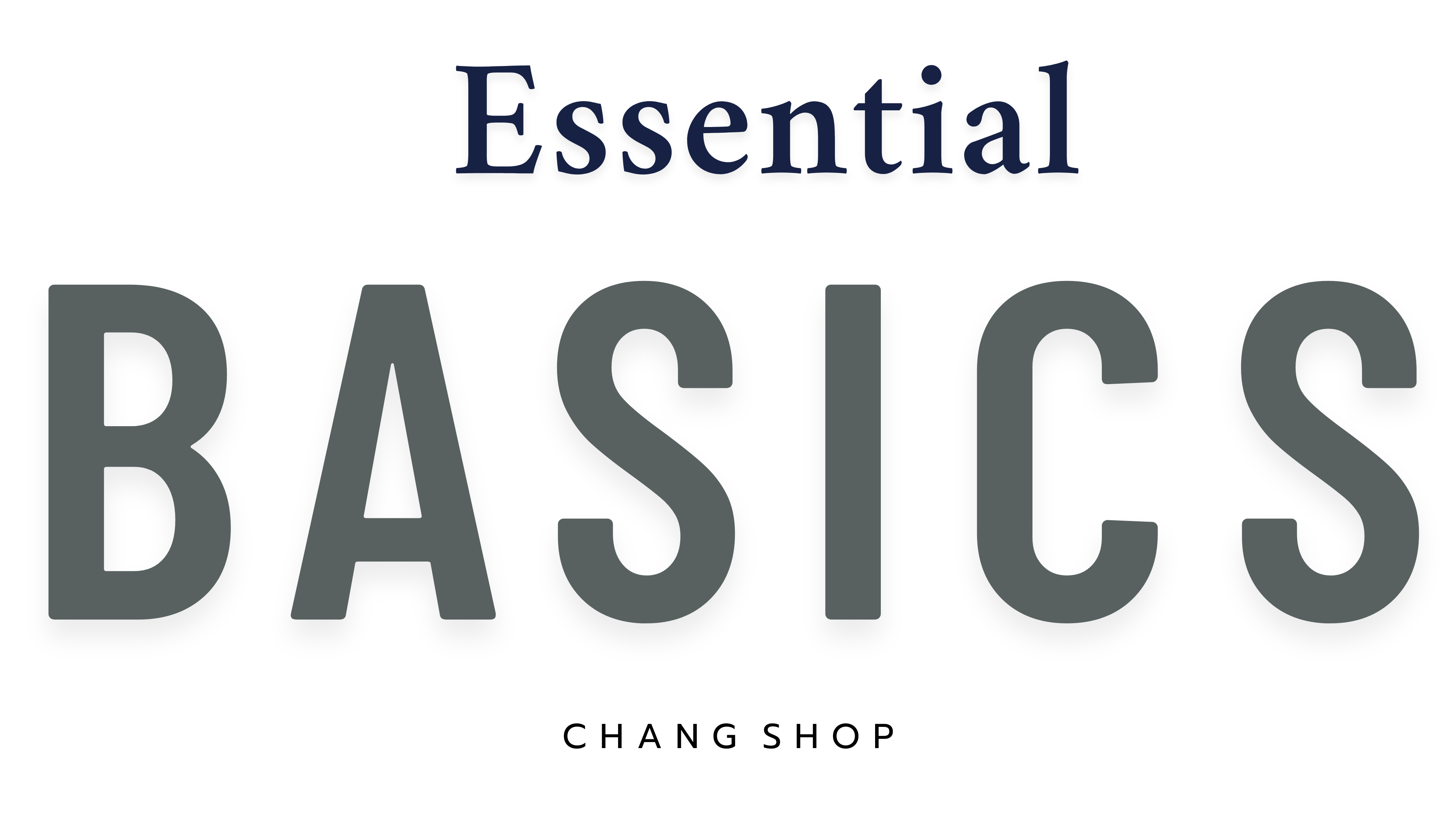 Essential Basics Text